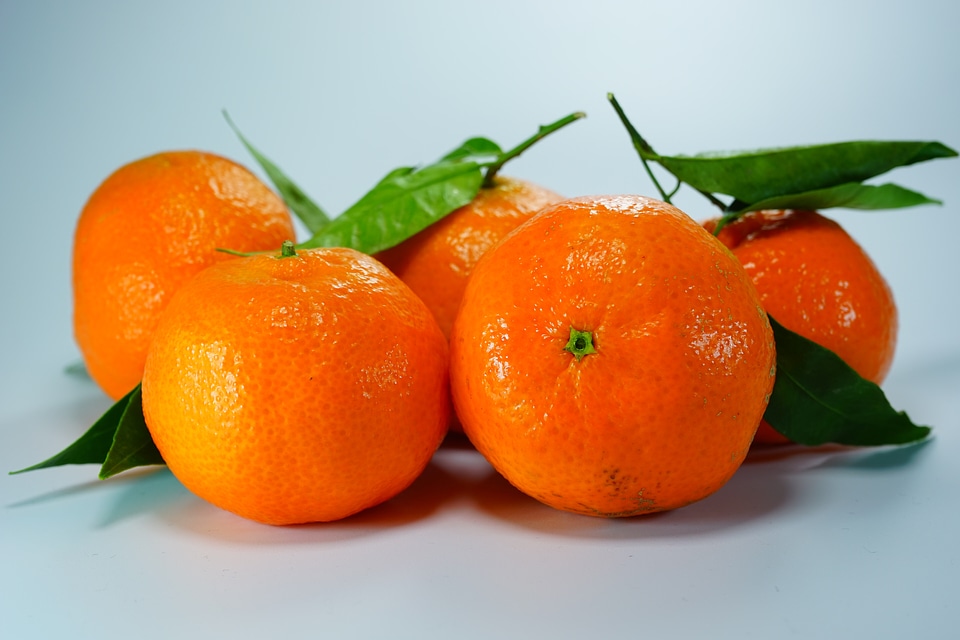 Citrus fruit orange fruits