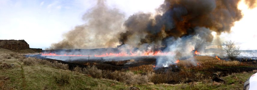 Prescribed Burn at Columbia NWR photo