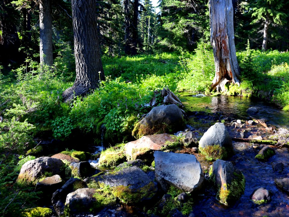 Goat Rocks Wilderness in WA