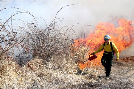 Leavitt Prescribed Fire