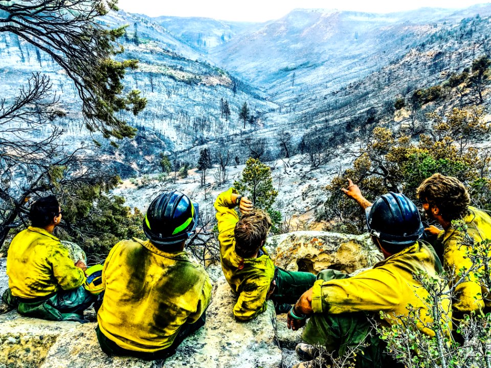 BLM Fire and Aviation Photo Contest 2020