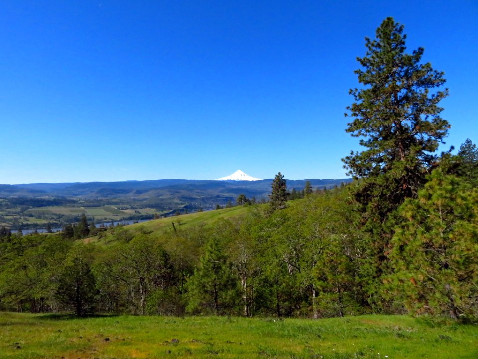 Catherine Creek Trail in WA