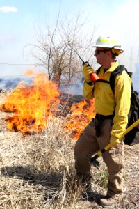 Leavitt Prescribed Fire