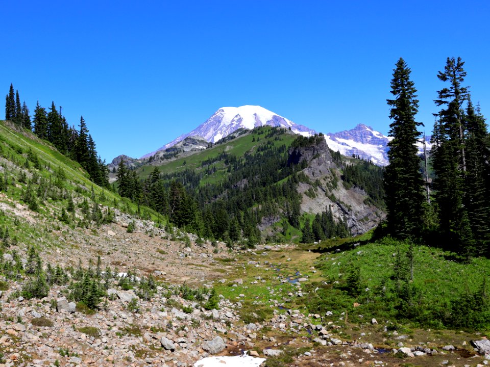 Tatoosh Ridge in WA