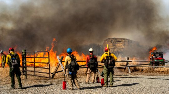 BLM Fire and Aviation Photo Contest 2020 photo