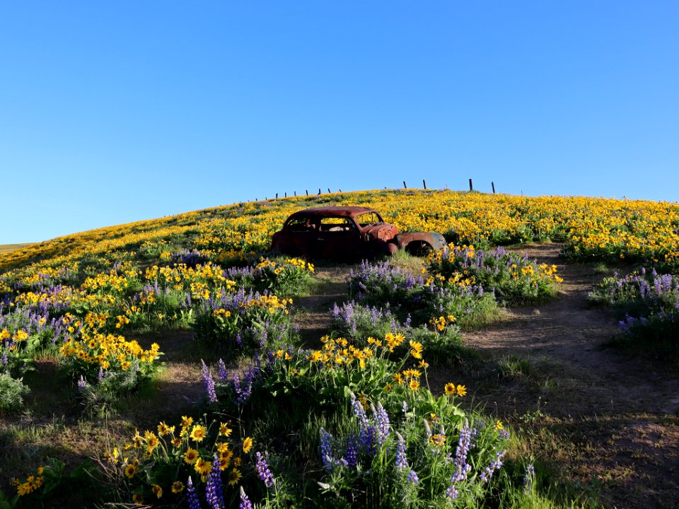 Dalles Mountain Ranch in WA