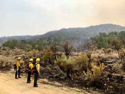 Pine Gulch Fire