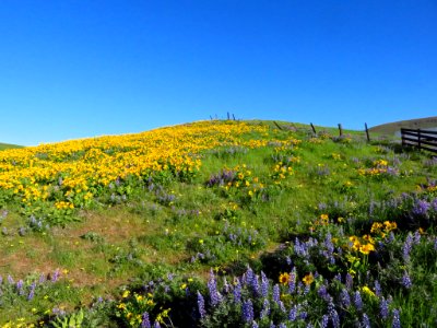 Dalles Mountain Ranch in WA