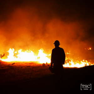 BLM Fire and Aviation Photo Contest 2020
