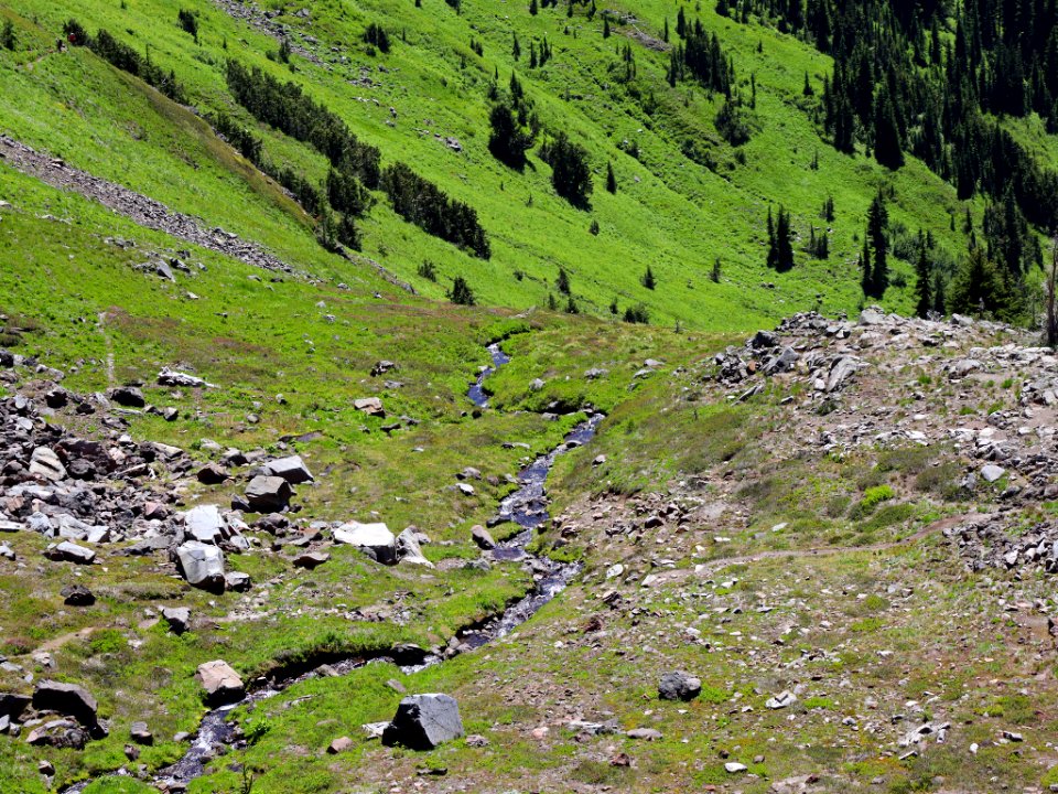 Goat Rocks Wilderness in WA