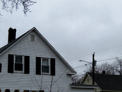 Rural House