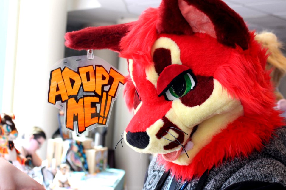 FurTheMoore2019 jv 18