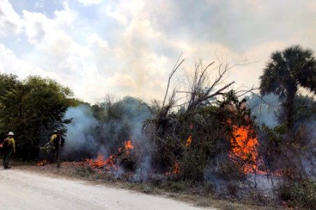 Silver King Fire