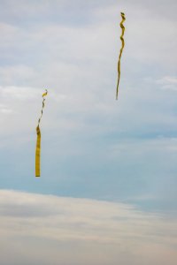 BLM Great Basin Smokejumpers