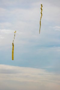 BLM Great Basin Smokejumpers photo