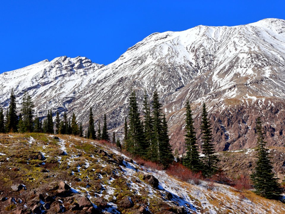 Mt. St. Helens at Ape Canyon Trail in WA
