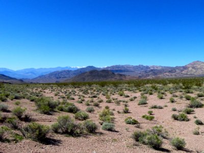 Death Valley NP in CA