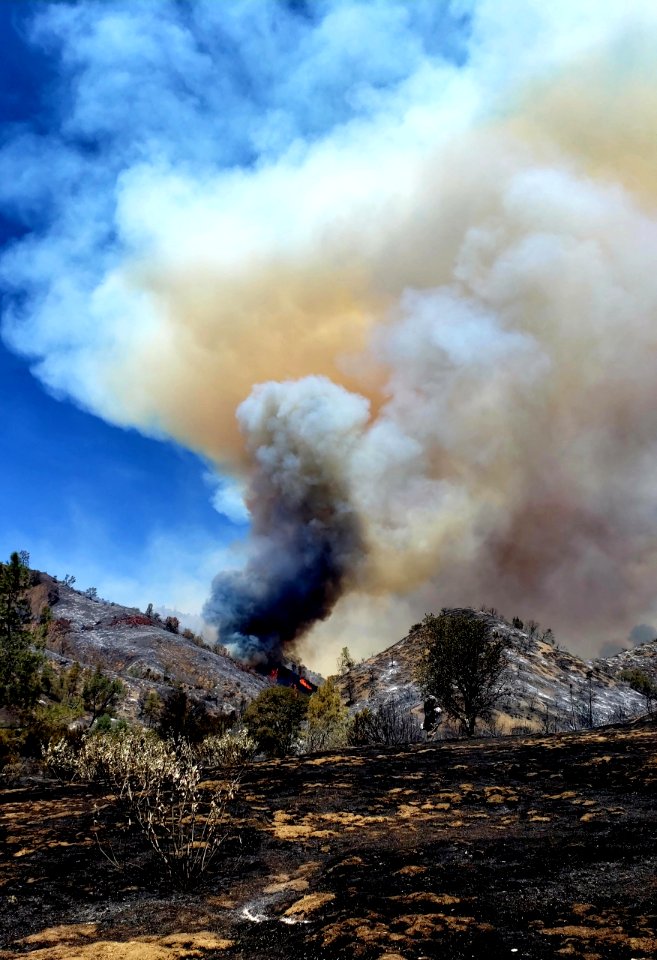 Mineral Fire
