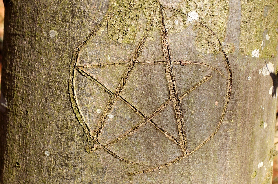 Eingeritzter tree star tree