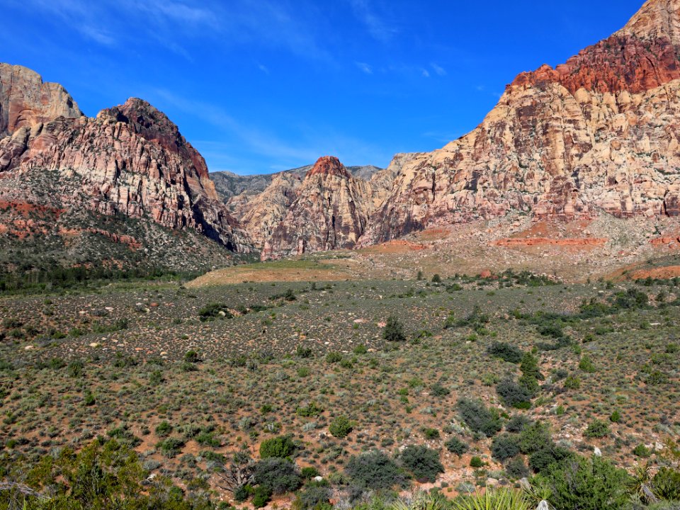 Red Rock Canyon in NV