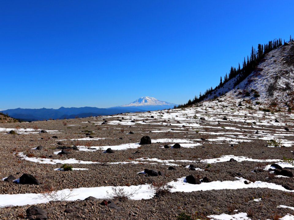 Mt. Adams at Ape Canyon Trail in WA