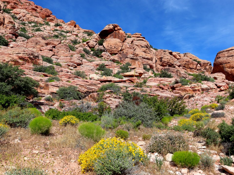 Red Rock Canyon in NV