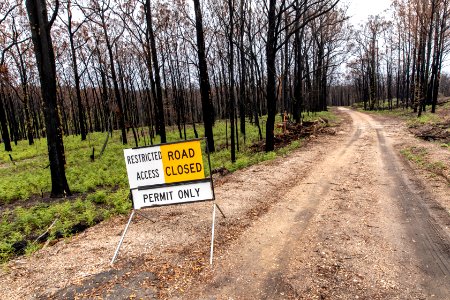 Post-bushfire recovery in Australia