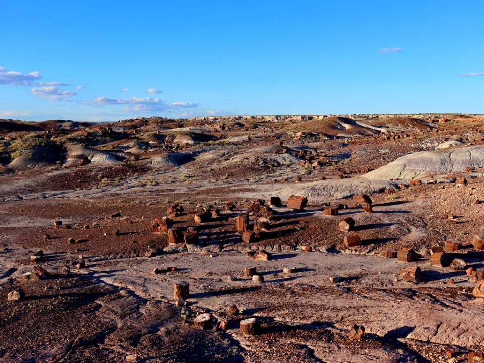 Petrified Forest NP in AZ