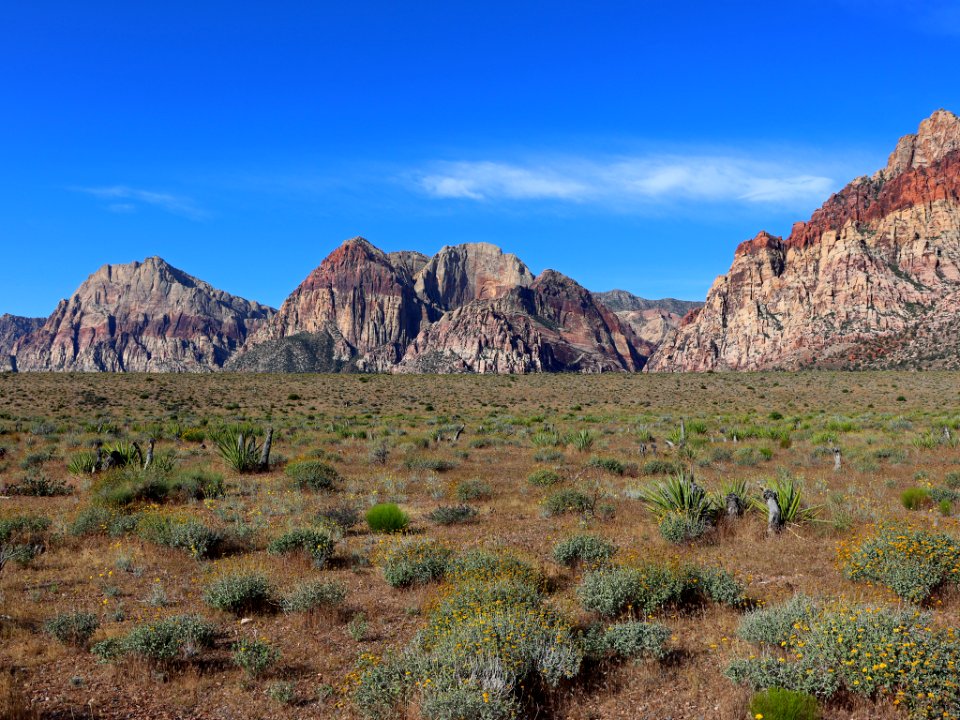 Red Rock Canyon in NV