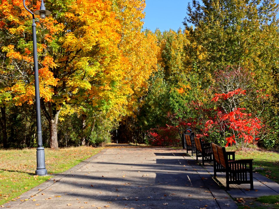 Fall Season at Wintler Park in Vancouver, WA
