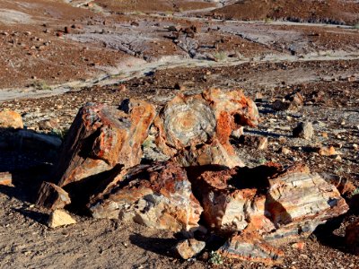 Petrified Forest NP in AZ