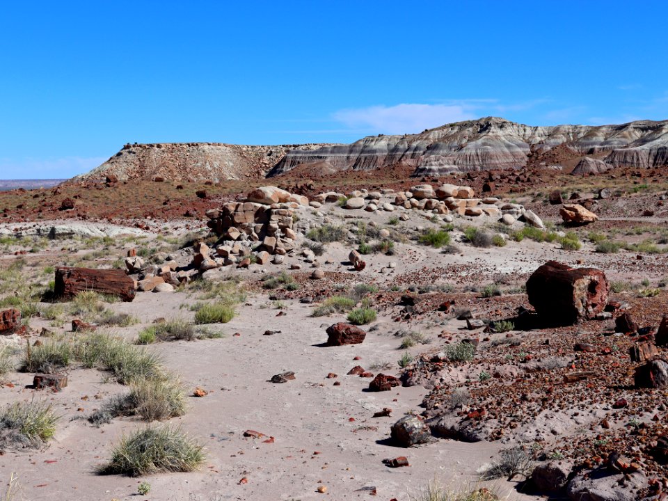 Petrified Forest NP in AZ