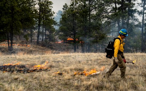 kendall-coulee-south-rx-fire 49802384926 o
