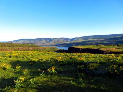 Rowena Crest in OR photo