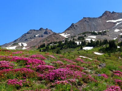 Snowgrass Flats in WA