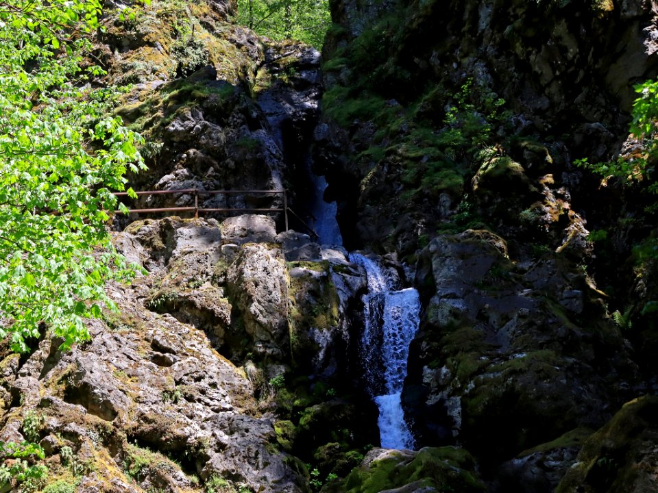 Hamilton Mountain in WA