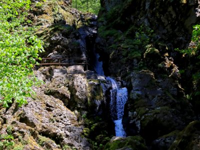 Hamilton Mountain in WA