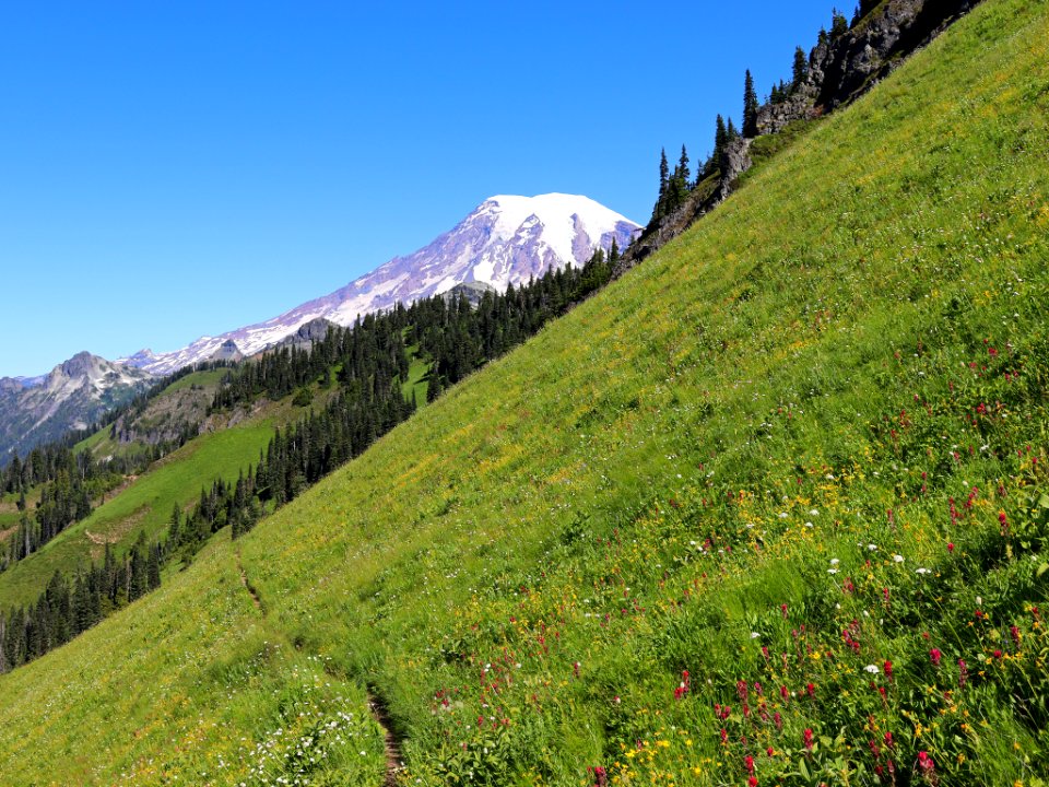 Tatoosh Ridge in WA