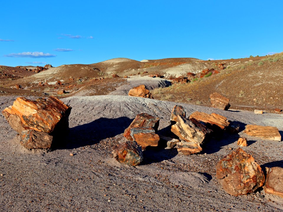 Petrified Forest NP in AZ