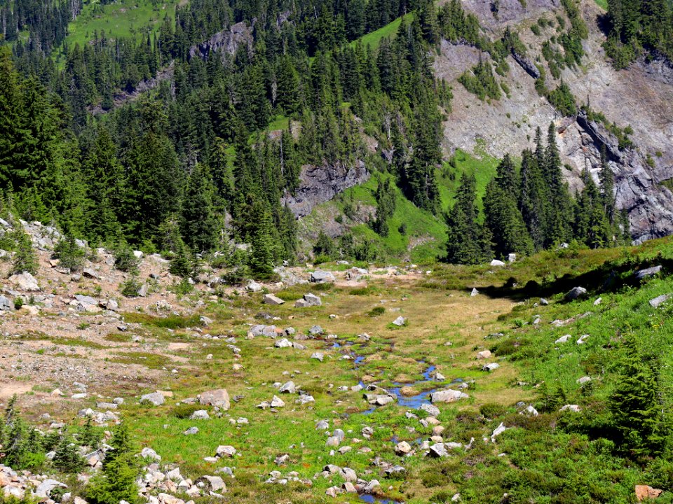 Tatoosh Ridge in WA
