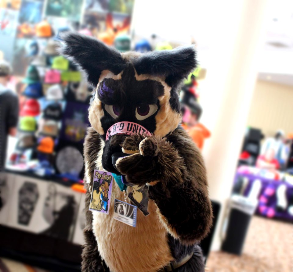 FurTheMoore2019 jv 21