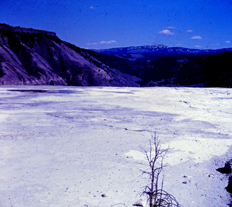 Mammoth Mineral Hot Springs