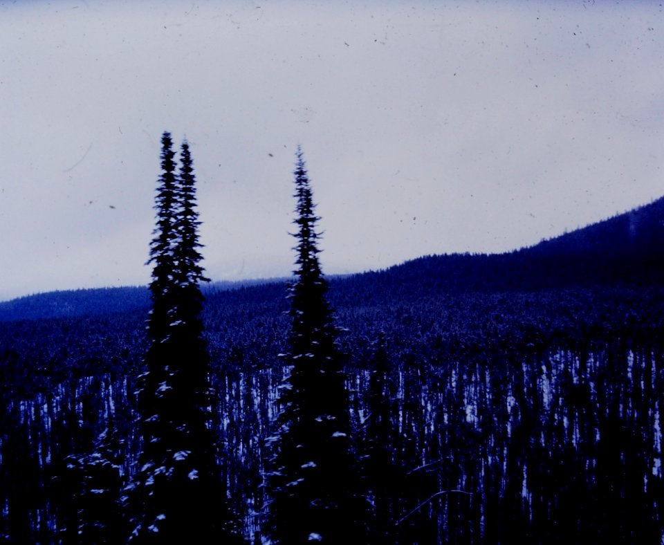 Bear Tooth Mountain Range (5)