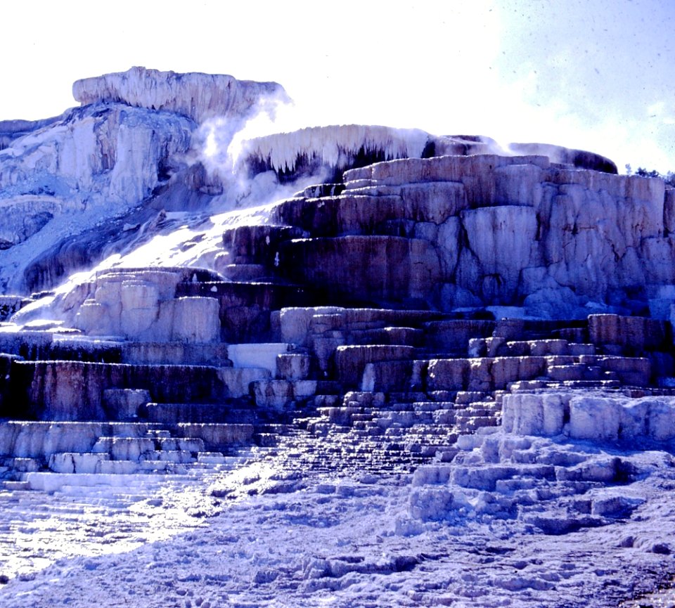 Mammoth Hot Springs (3)