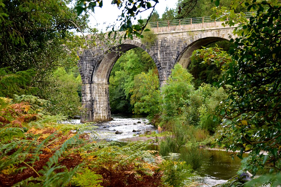 Avondale County Wicklow