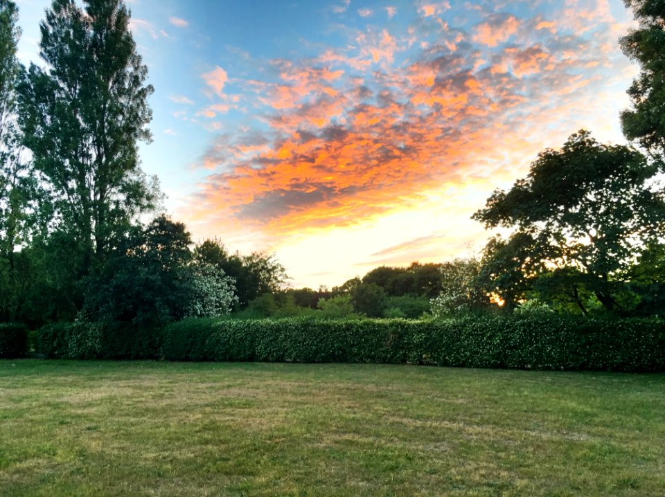 Victoria Park, Waterloo