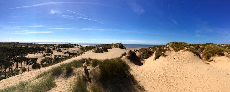 Dunes at National Trust, Lifeboat Road Panorama