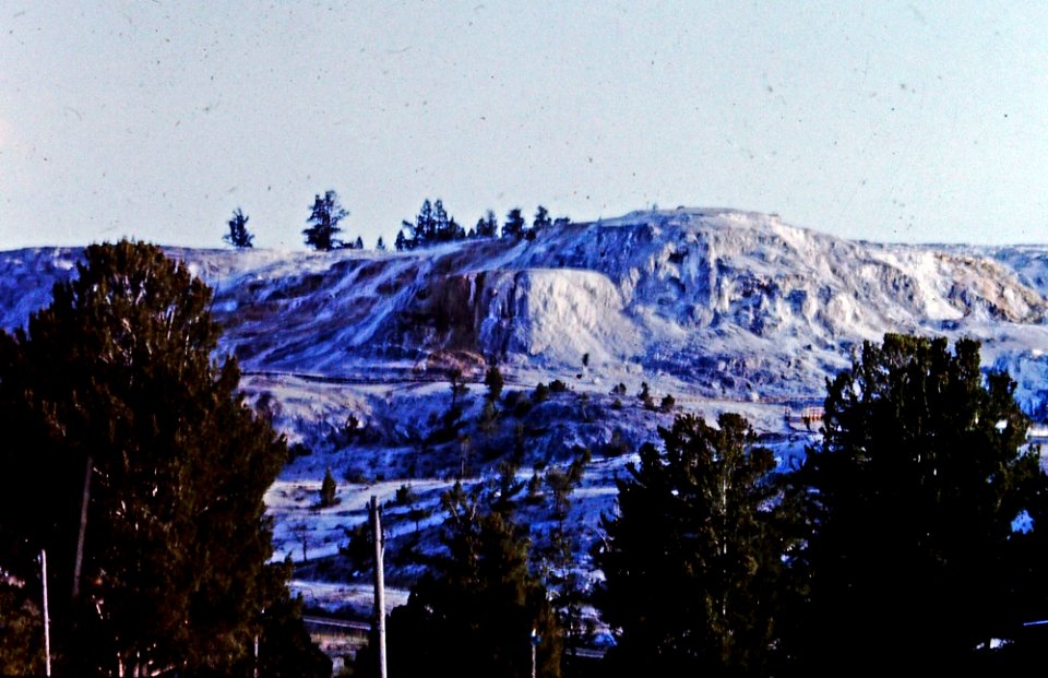 Mammoth Hot Springs (1)