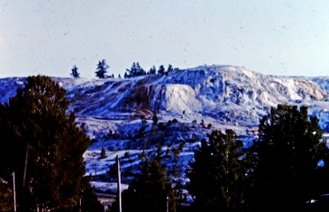Mammoth Hot Springs (1)