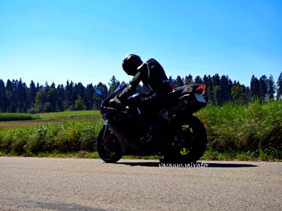 Wanna come for a ride?